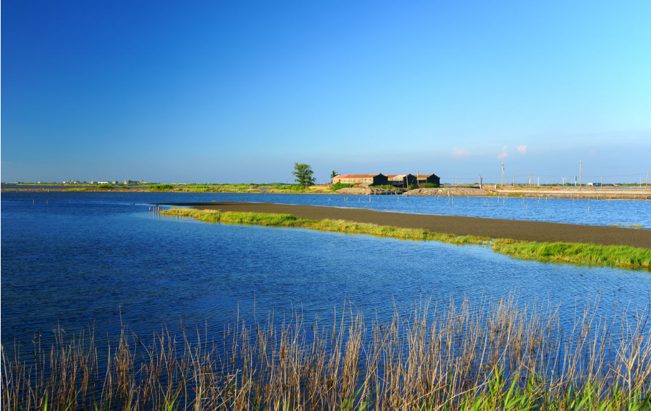 国务院：加强滨海湿地保护严格管控围填海