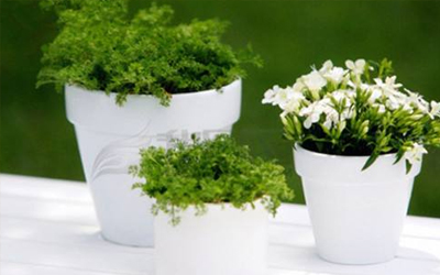 常见的室内花卉养护方法是什么