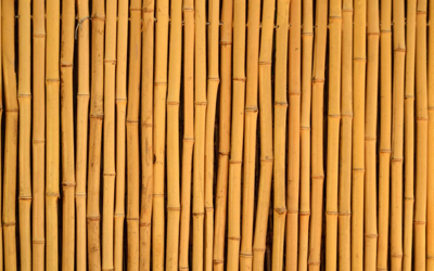 竹材料的特性有哪些? 竹材料好不好?